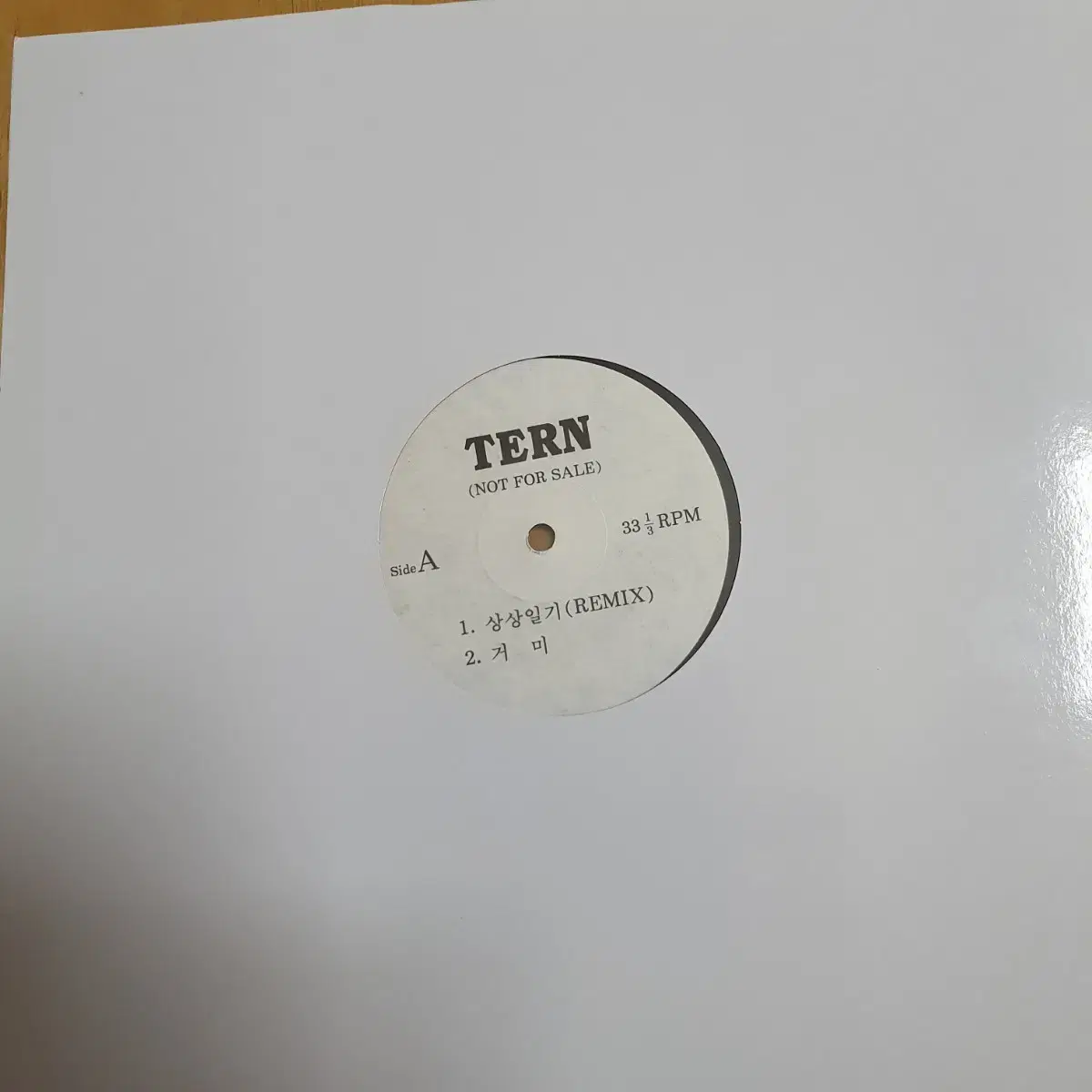 TERN   DJ홍보용 LP