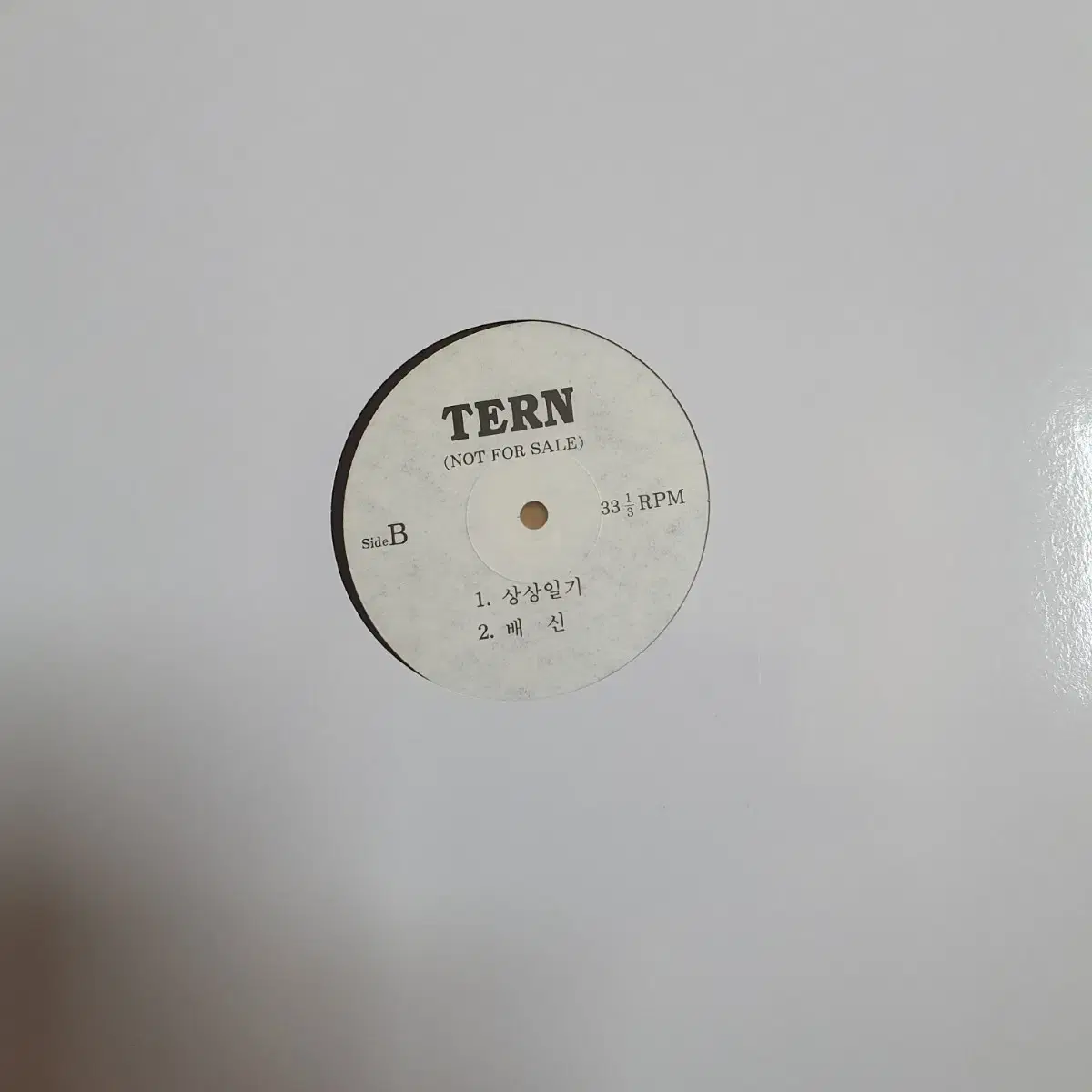 TERN   DJ홍보용 LP