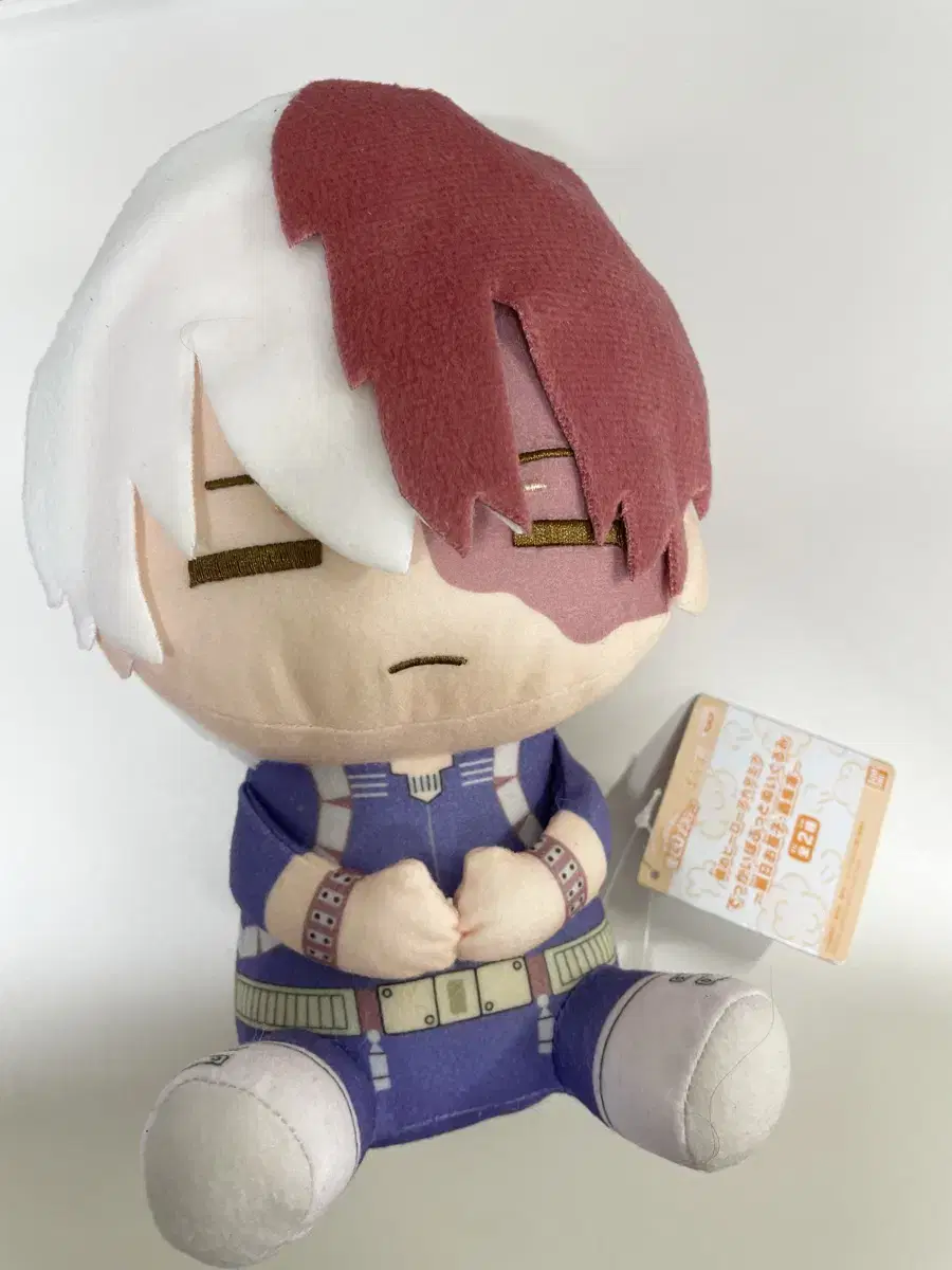 Nahia Hiroaka Todoroki Pohutto Nui doll wts~.