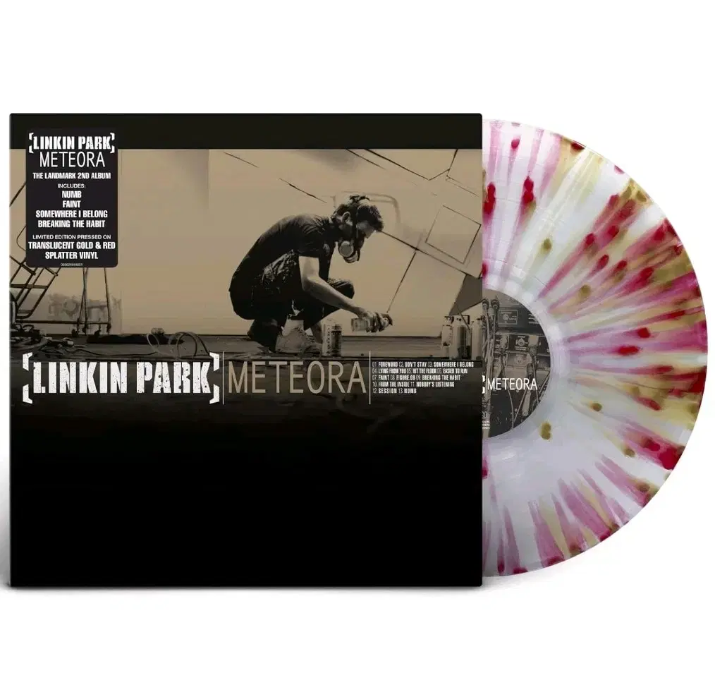 Linkin Park 린킨 파크 Meteora 20주년 스플래터 LP