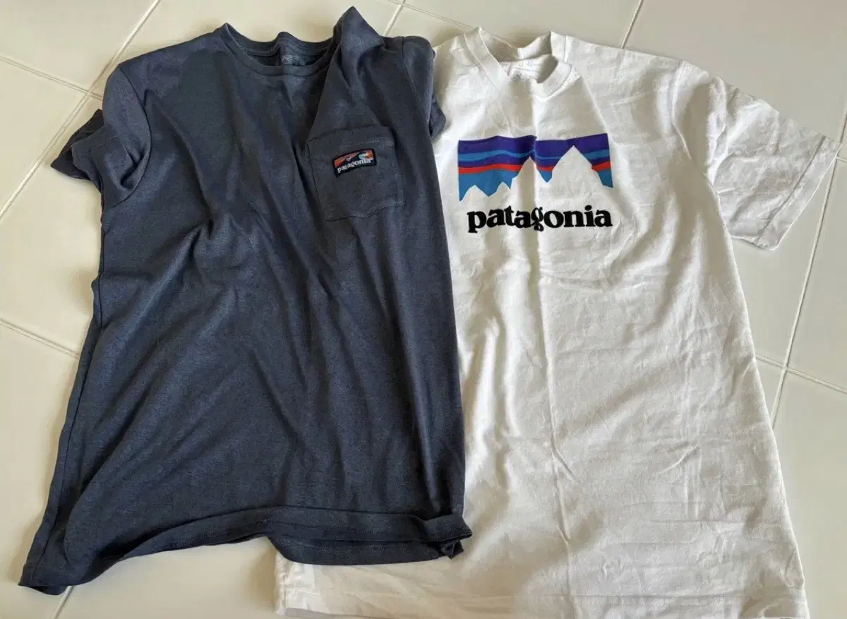 Patagonia T-Shirt Large