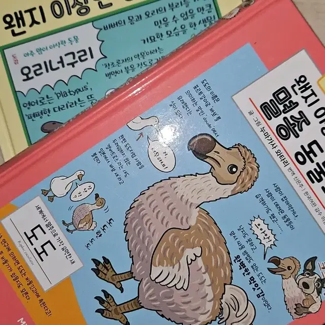 왠지이상한 동물/멸종동물 도감 세트