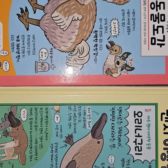 왠지이상한 동물/멸종동물 도감 세트