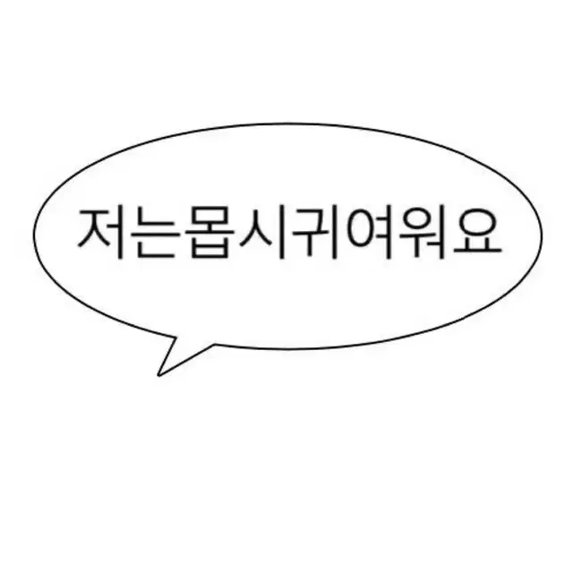 2023 핑크크리스마스 천러 포카 일괄 양도