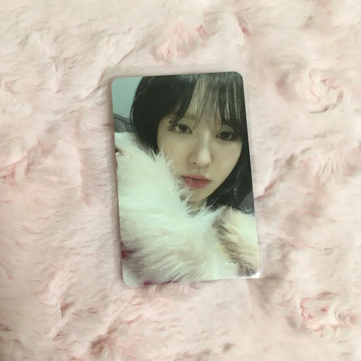 Wendy photocard SMCU Organizations