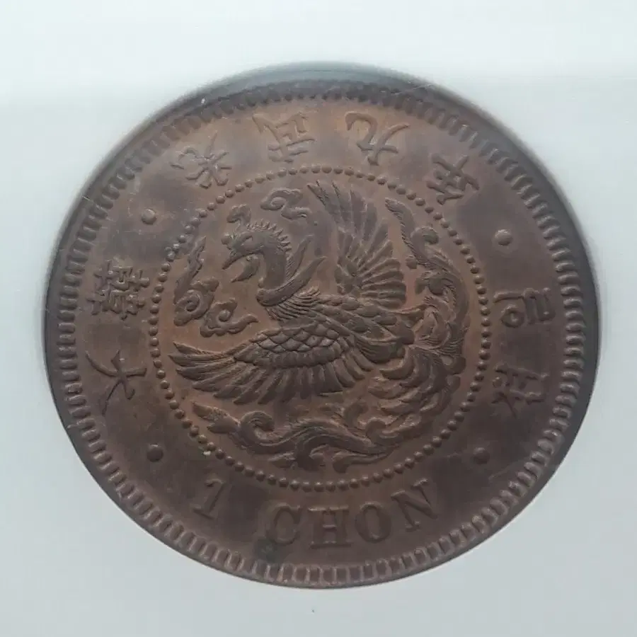 1905년 대한민국(광무9년) 일전 NGC MS 62 BN 미사용 청동화