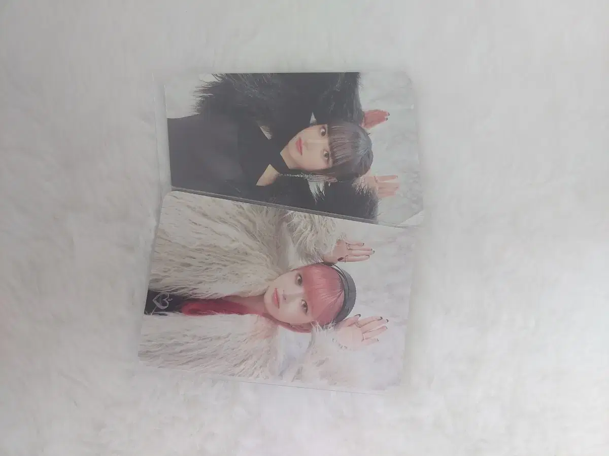 Bulk;ive i.m special photocard lay liz Couples