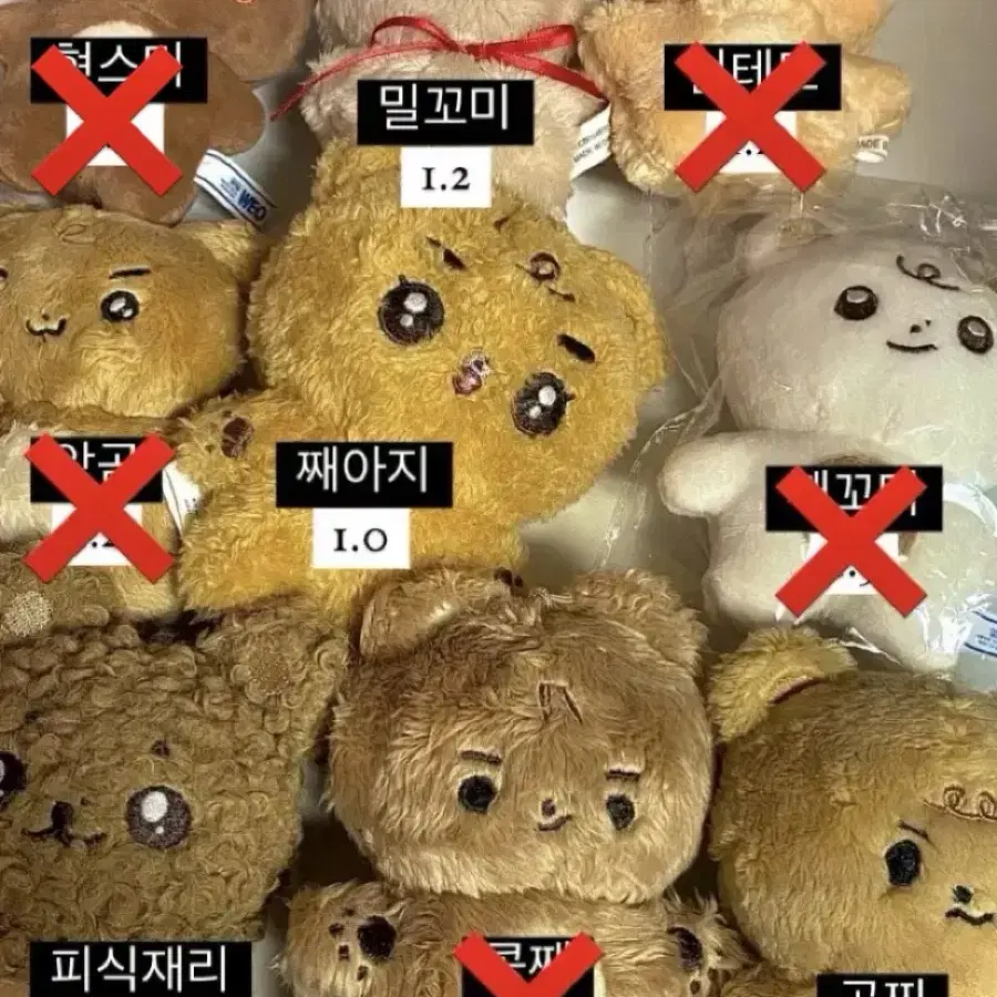 포카 덤) 더보이즈 현재 인형 밀꼬미째꼬미째아지콩째곰찌현테토재리앙곰현스미