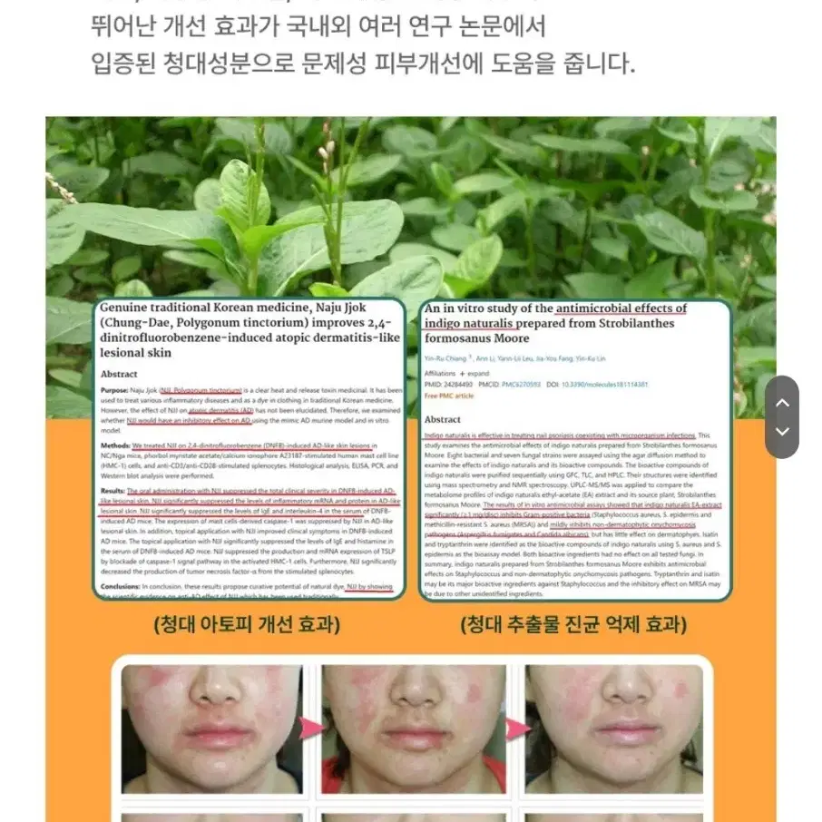 더마허브 스킨룩스 톤업크림, 수분크림