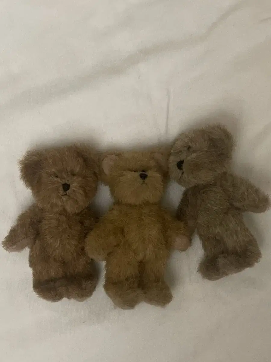 Boys Bear Man Momiddle