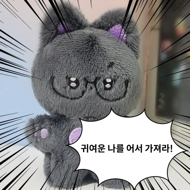 빤냥이 양도 합니다! (외츨X, 하자X)