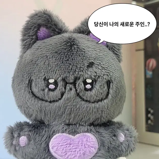 빤냥이 양도 합니다! (외츨X, 하자X)