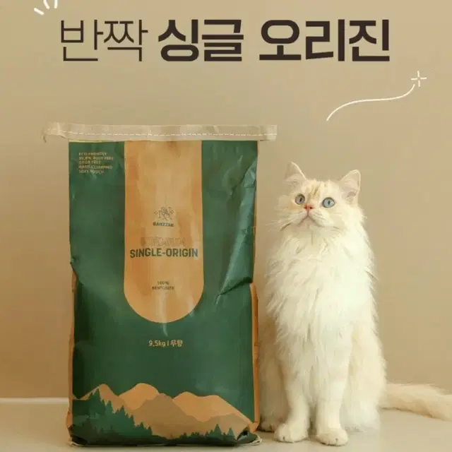 무배)고양이모래 9.5kg x 2개 1박스