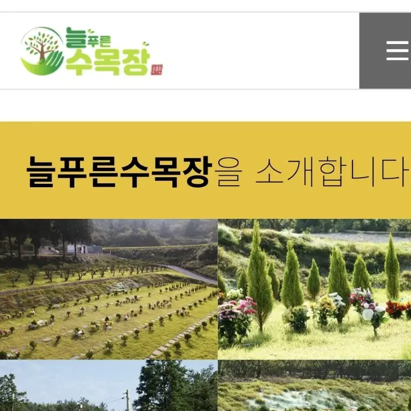 보성 늘푸른 수목장