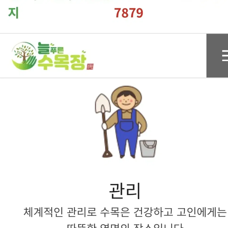 보성 늘푸른 수목장