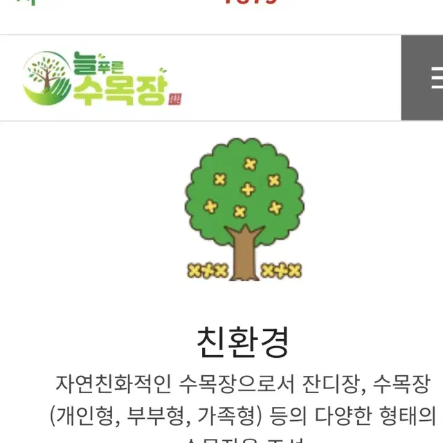 보성 늘푸른 수목장