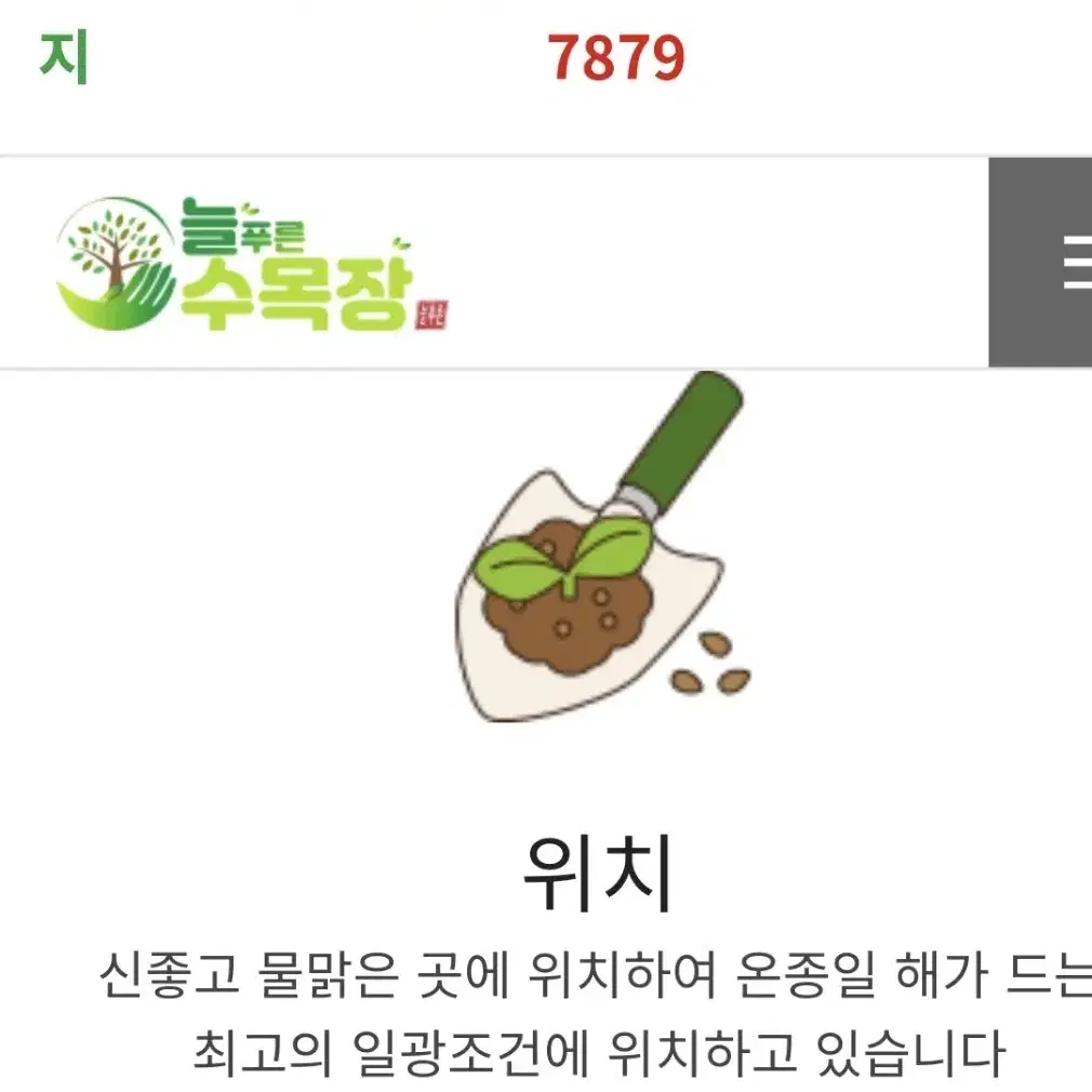 보성 늘푸른 수목장