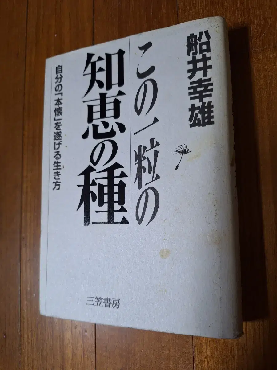 # This One Grain of Wisdom (Japanese Edition)