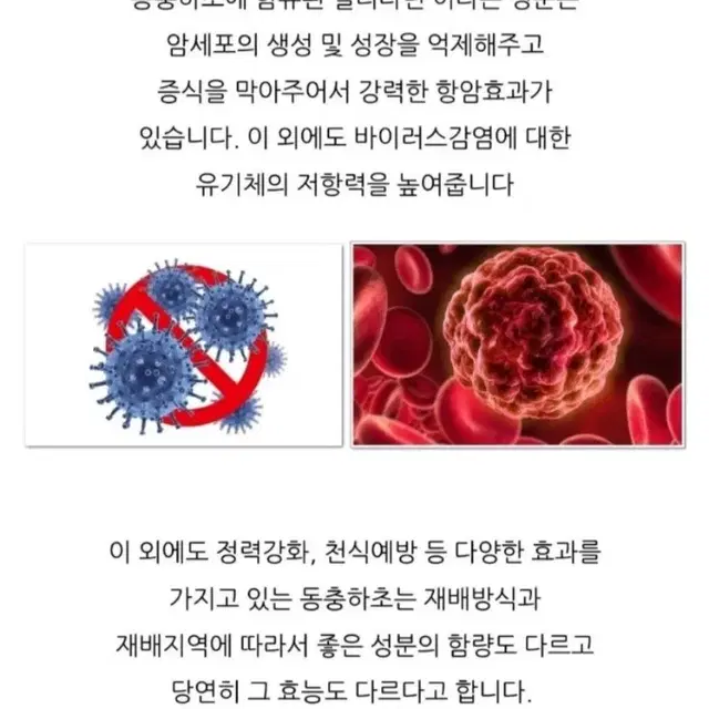 (미개봉) 제왕충초 (코디세핀 성분 동충하초의 40배) 건강에 좋아요