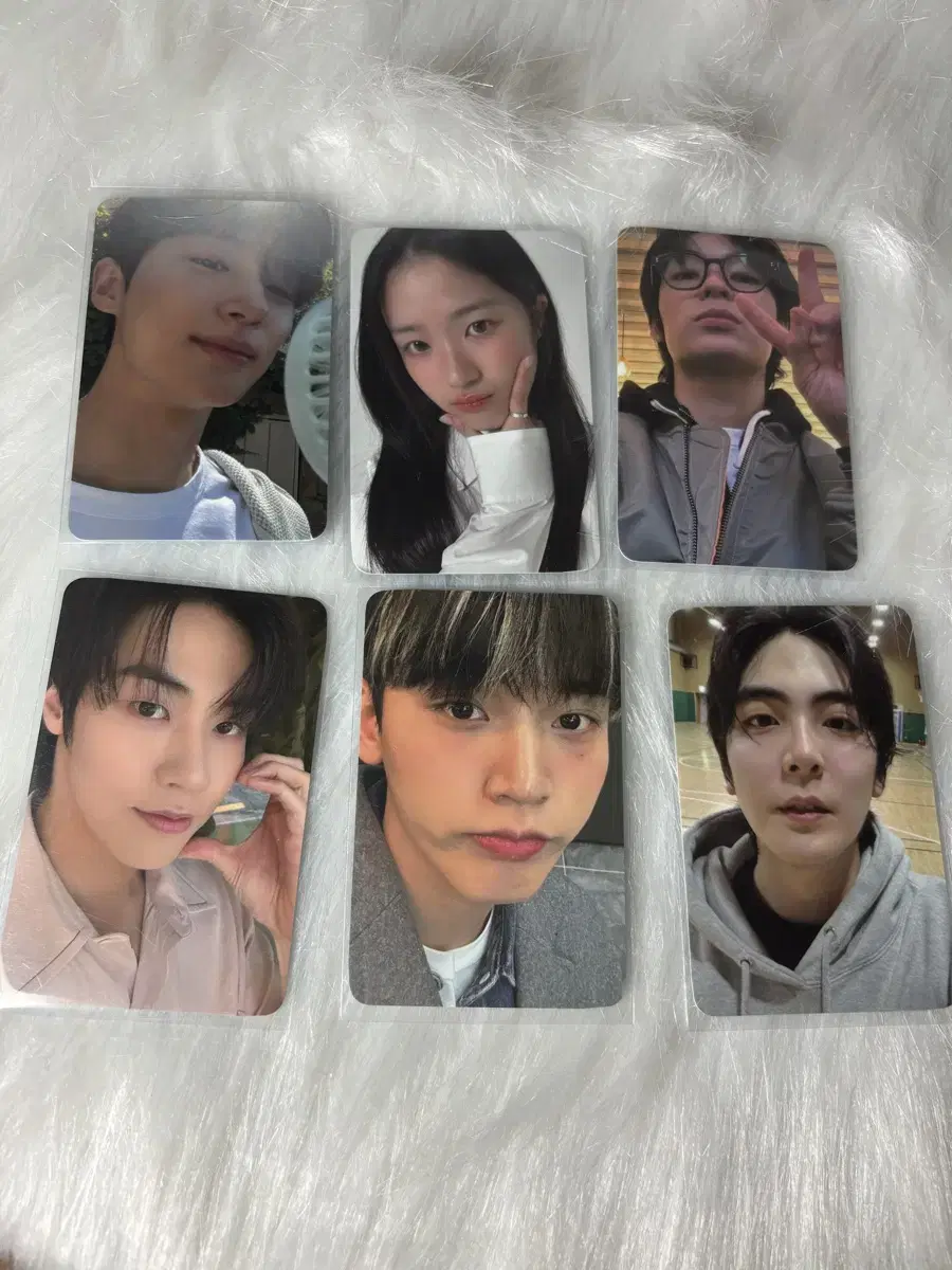 선재업고튀어 pop up 5만원 photocard sell