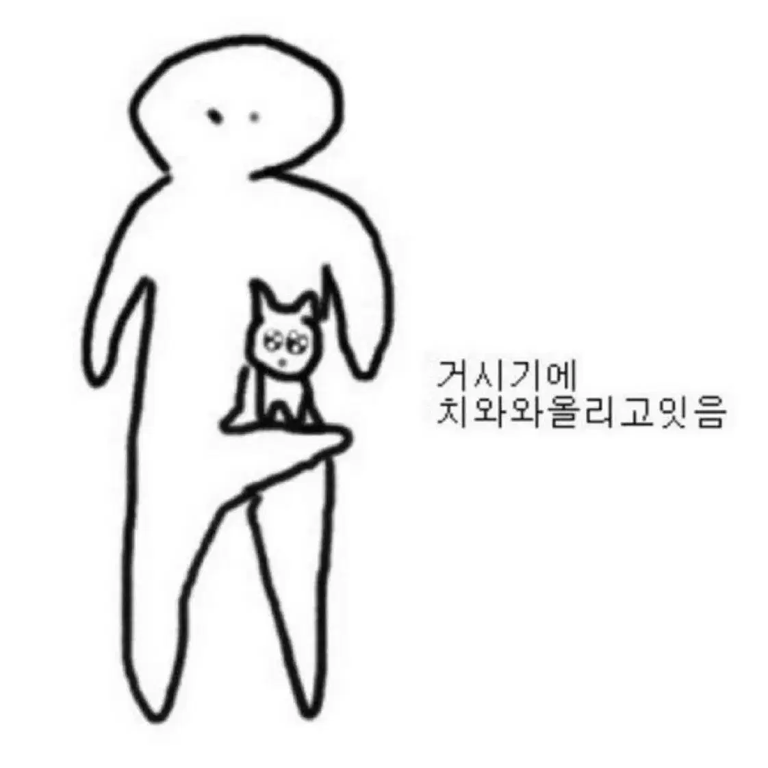 지금 구매하시면 배송비 무료!! 및 에눌!!