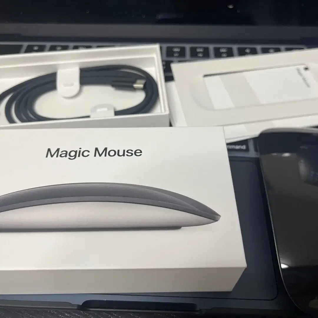 애플 매직마우스 블랙 (Apple Magic Mouse Black)