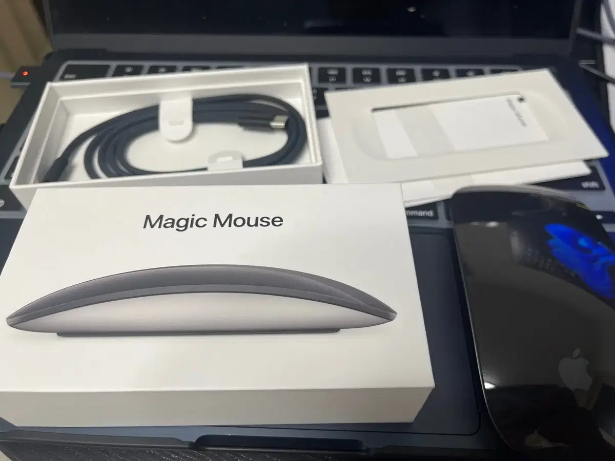 애플 매직마우스 블랙 (Apple Magic Mouse Black)