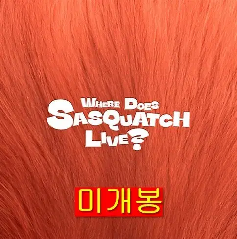 지올팍 Where Does Sasquatch Live? (미개봉, CD)