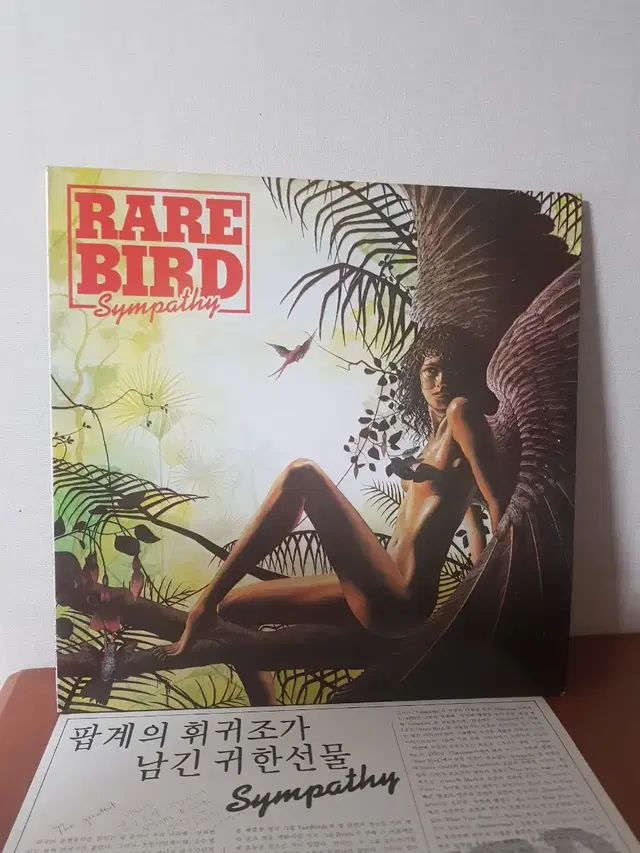 레어버드 Rare Bird 올드팝엘피 Rocklp 바이닐 vinyl