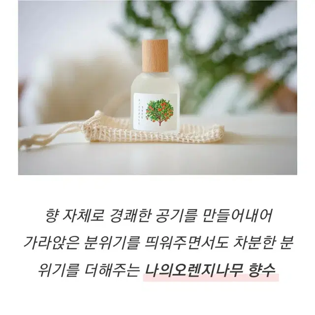 텀블벅 향수) 스튜디오월든 나의 오렌지나무 향수 50ml