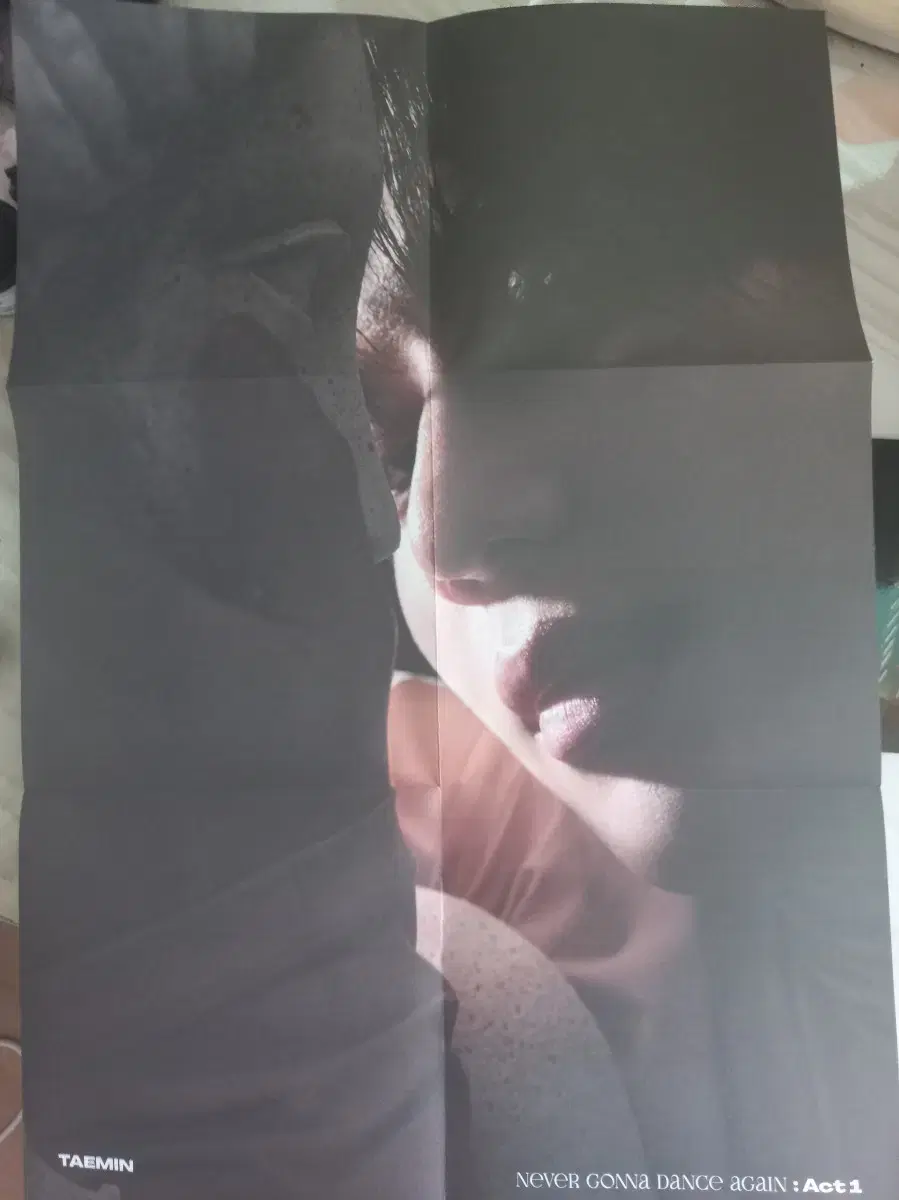 Taemin Criminal Poster