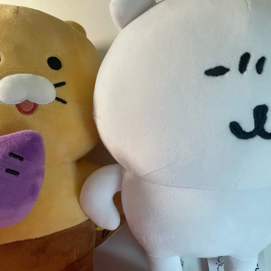 농담곰, 춘식이 인형 일괄