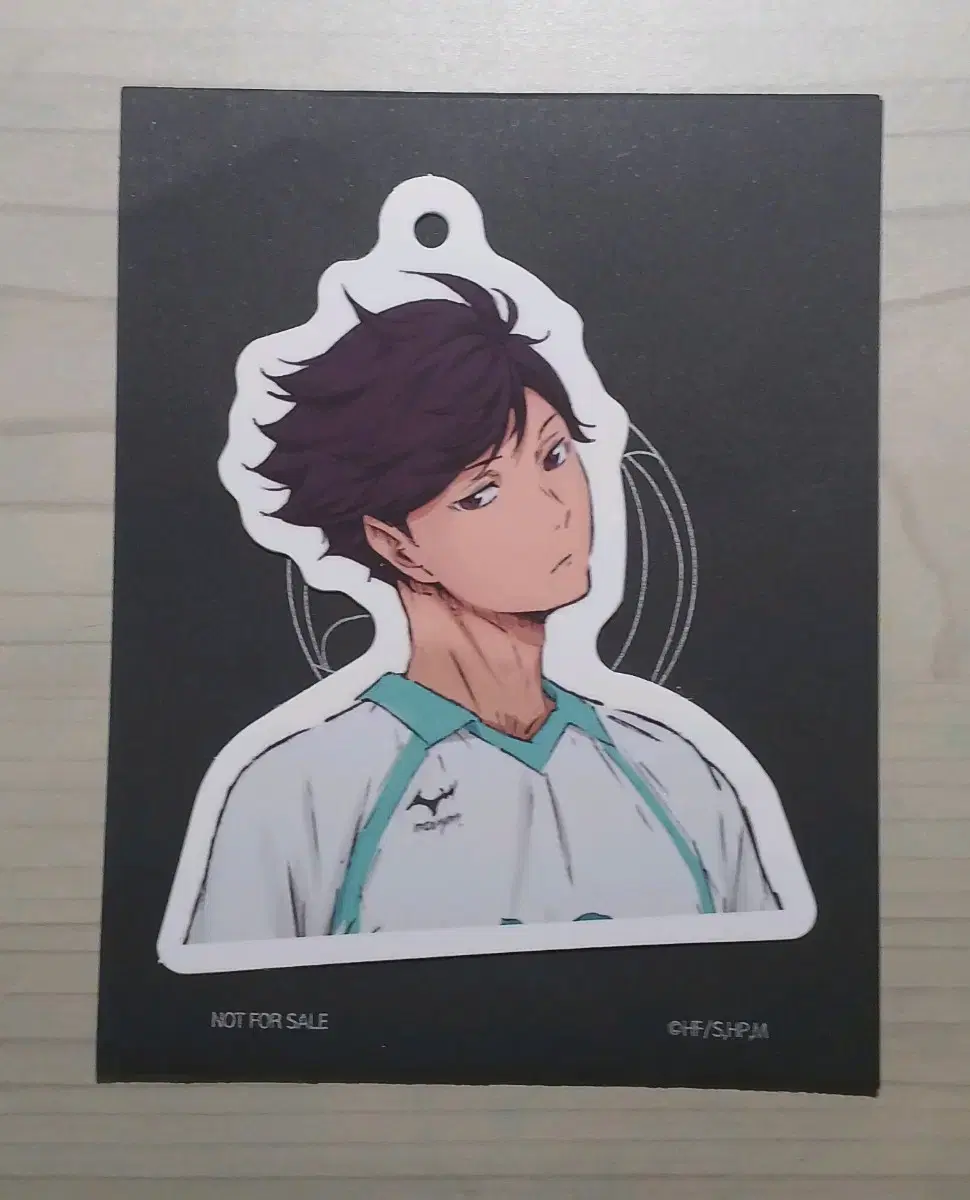 Haikyuu Theatrical Edition <또 다른 도전> pre-order benefit Seijo Oikawa