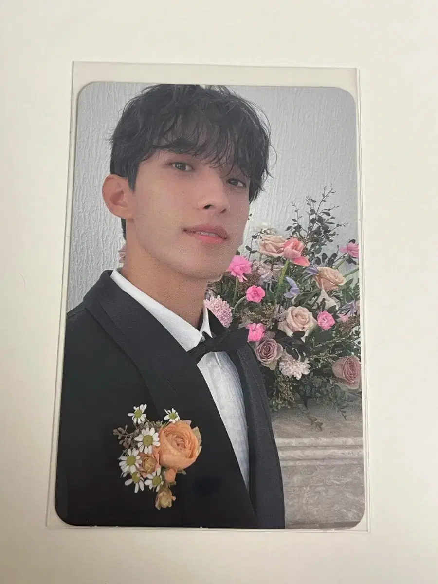 Seventeen dk FML Caravan