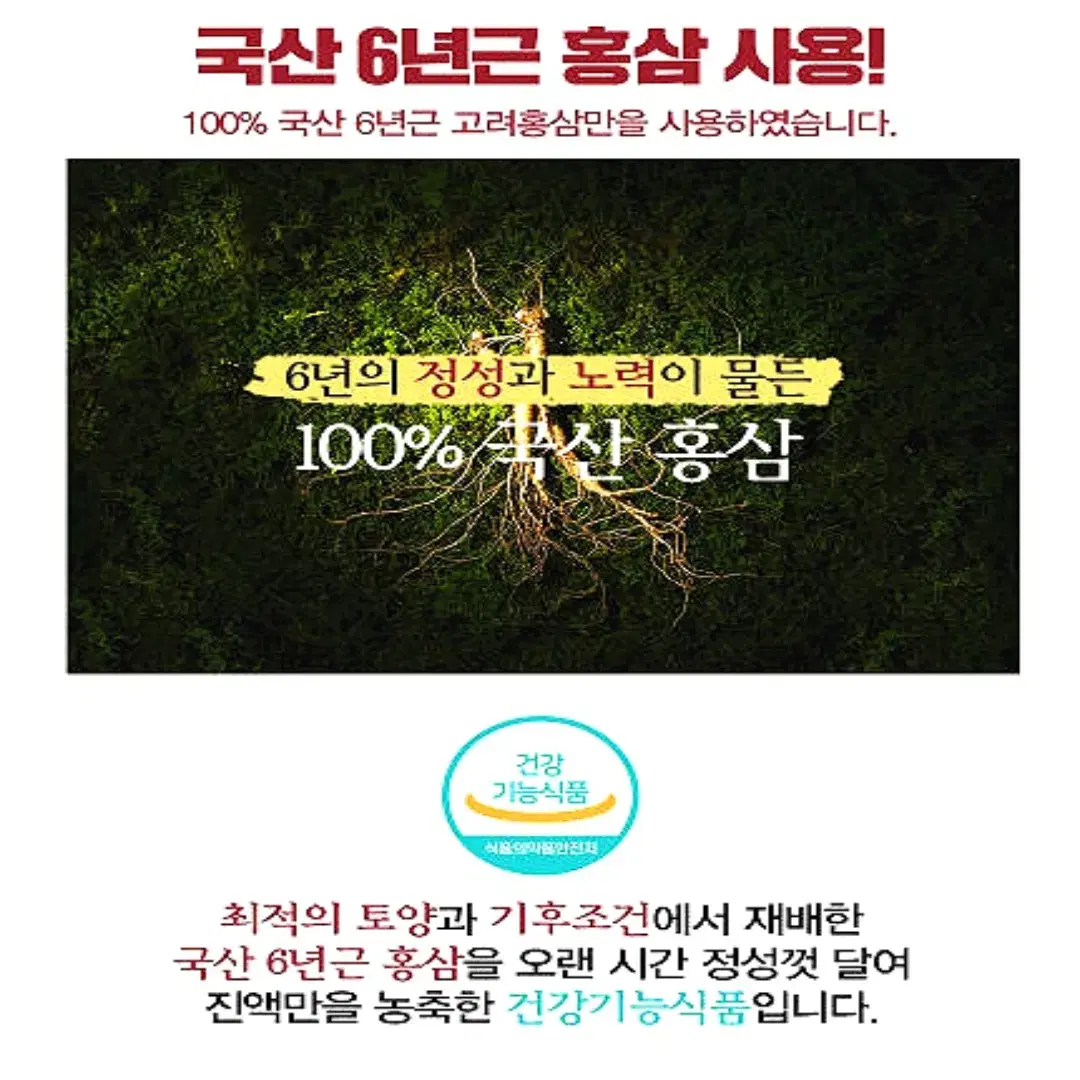 설 명절 선물세트 전북농협 농협으뜸 홍삼정골드 240gx2병[무료배송]