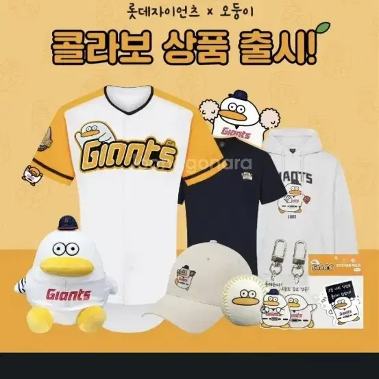 오둥이 모자 삽니다 롯데