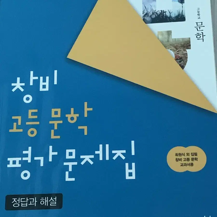 창비 고등 문학 평가문제집