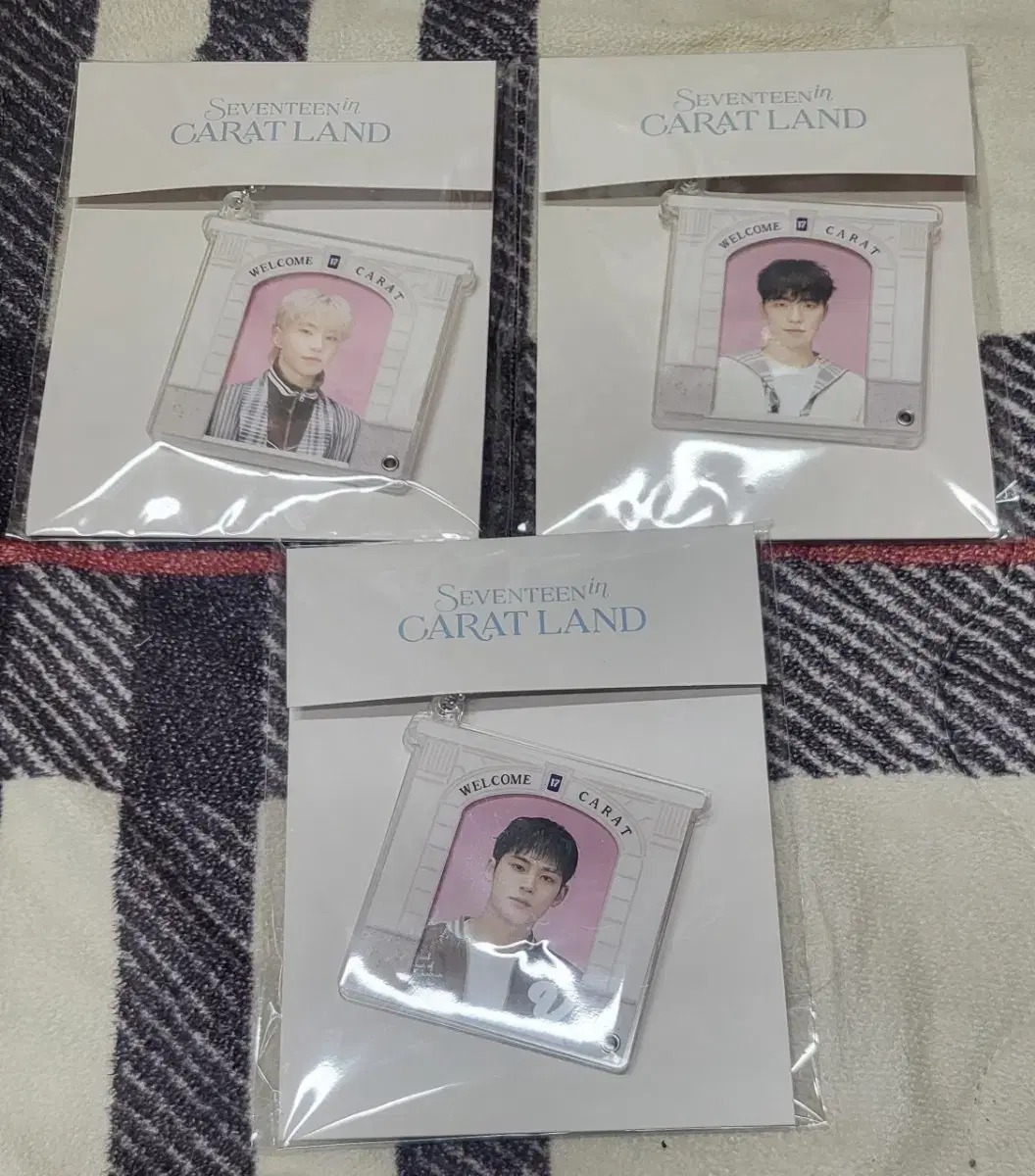 Seventeen Caratland acrylic Photo keyring (unsealed)