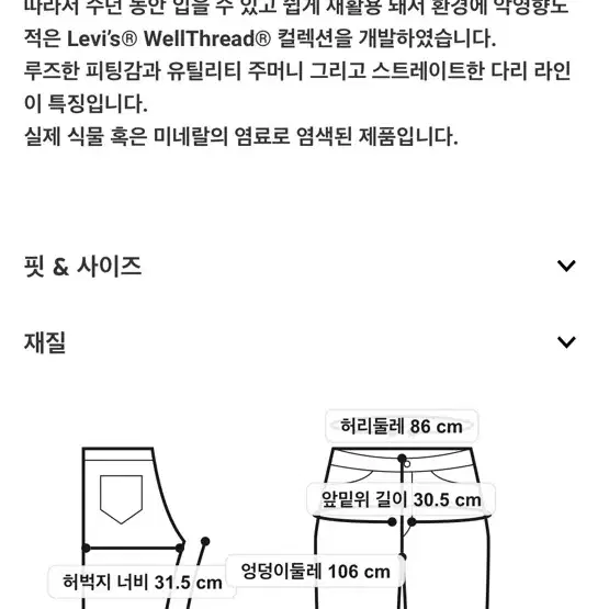 리바이스) WELLTHREAD 스테이 루즈 카펜터 팬츠