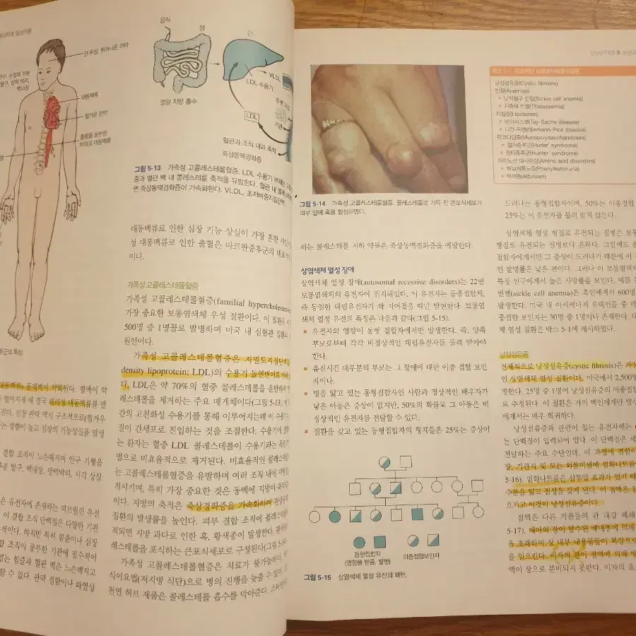 병태생리학과 임상적용