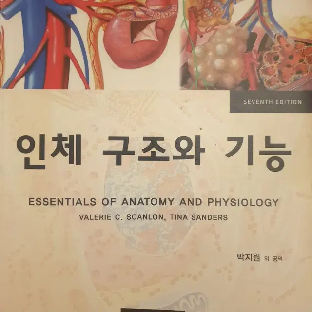 인체 구조와 기능