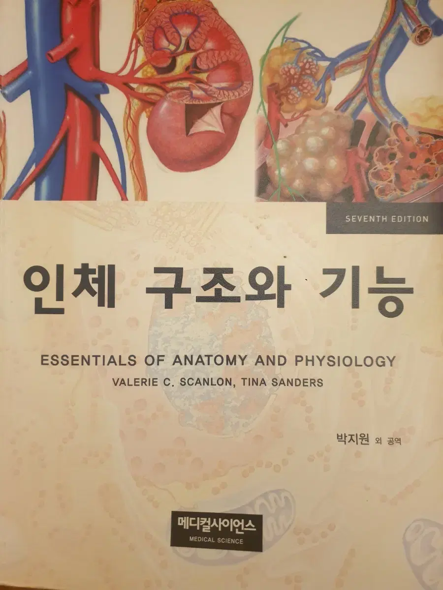 인체 구조와 기능