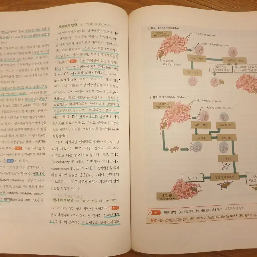 인체 구조와 기능