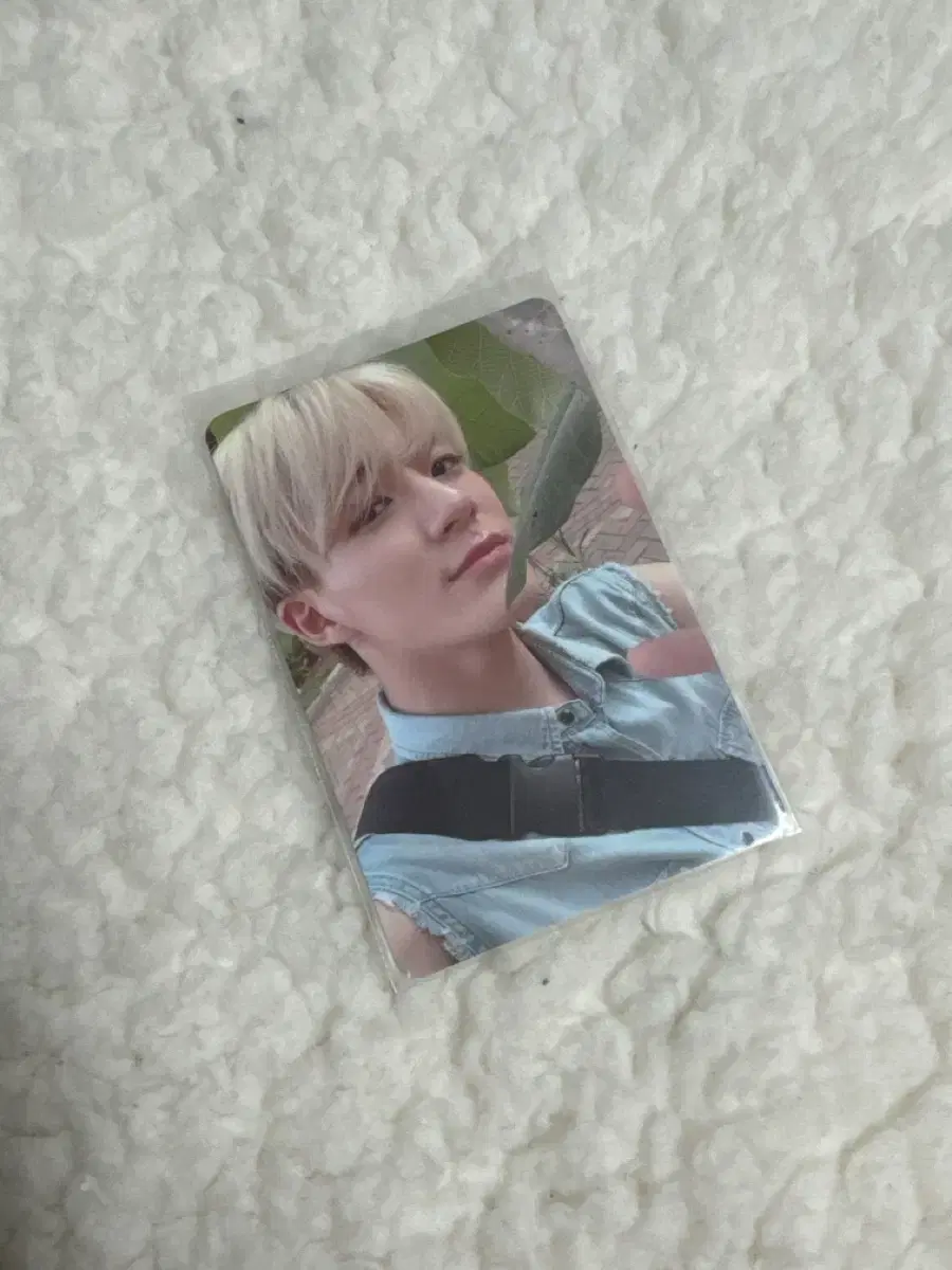 NCT jeno photocard Welcome Kit NCT Citizens photocard nct Dream