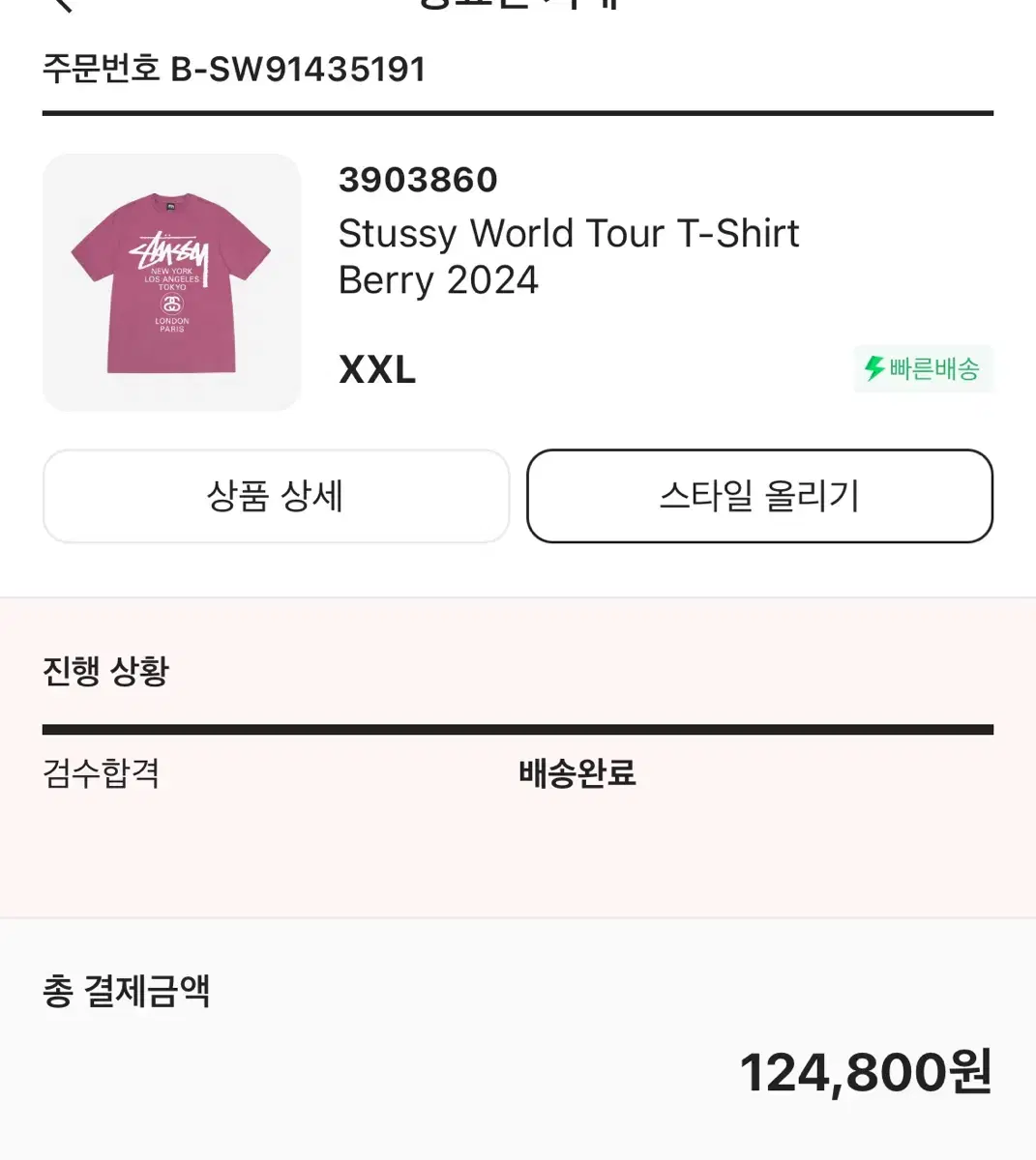 스투시 world tour t-shirt beerry 2024