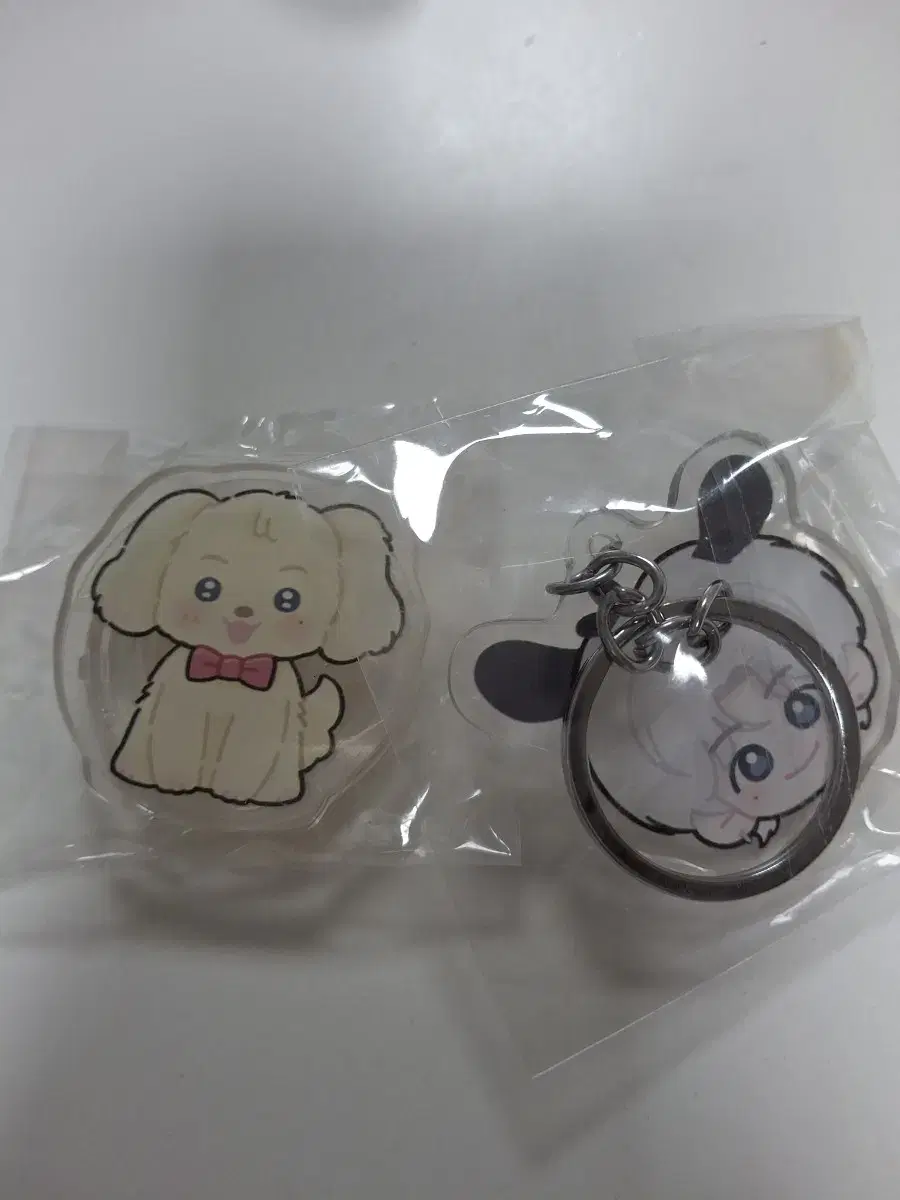 Jungwoo acrylic keyring Github Sharing