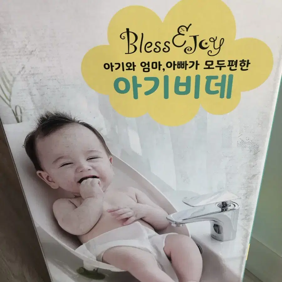 블레스 아기비데