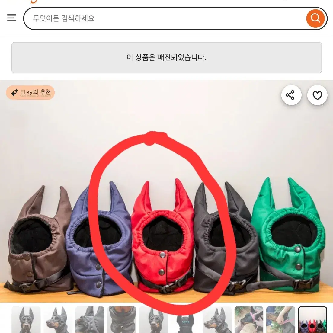 도베르만 전용 모자 새상품