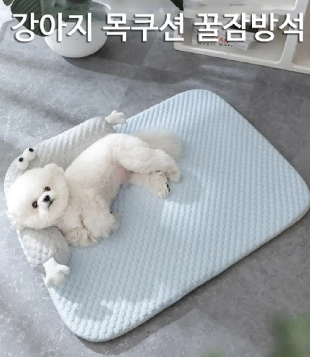 새제품) 강아지방석