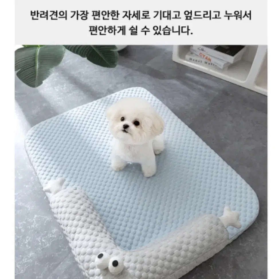 새제품) 강아지방석